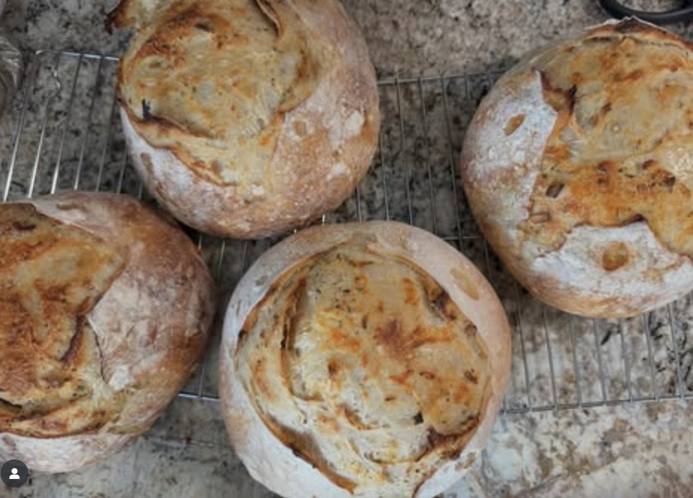 Active Sourdough Starter