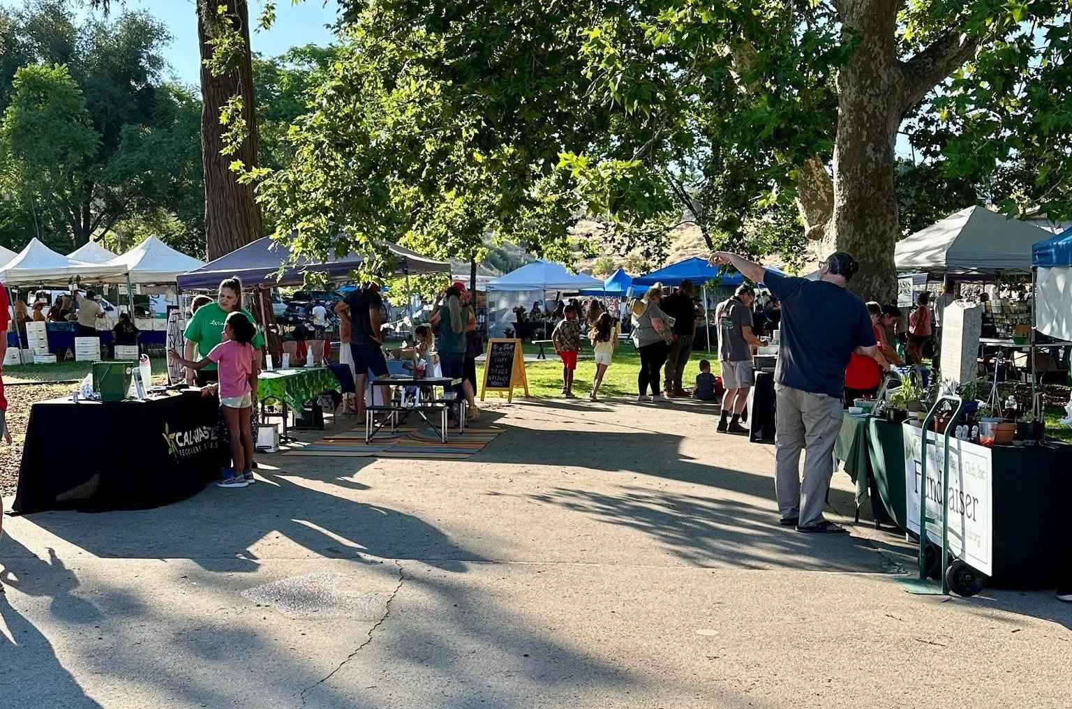 Angels Camp Farmers Market Scene