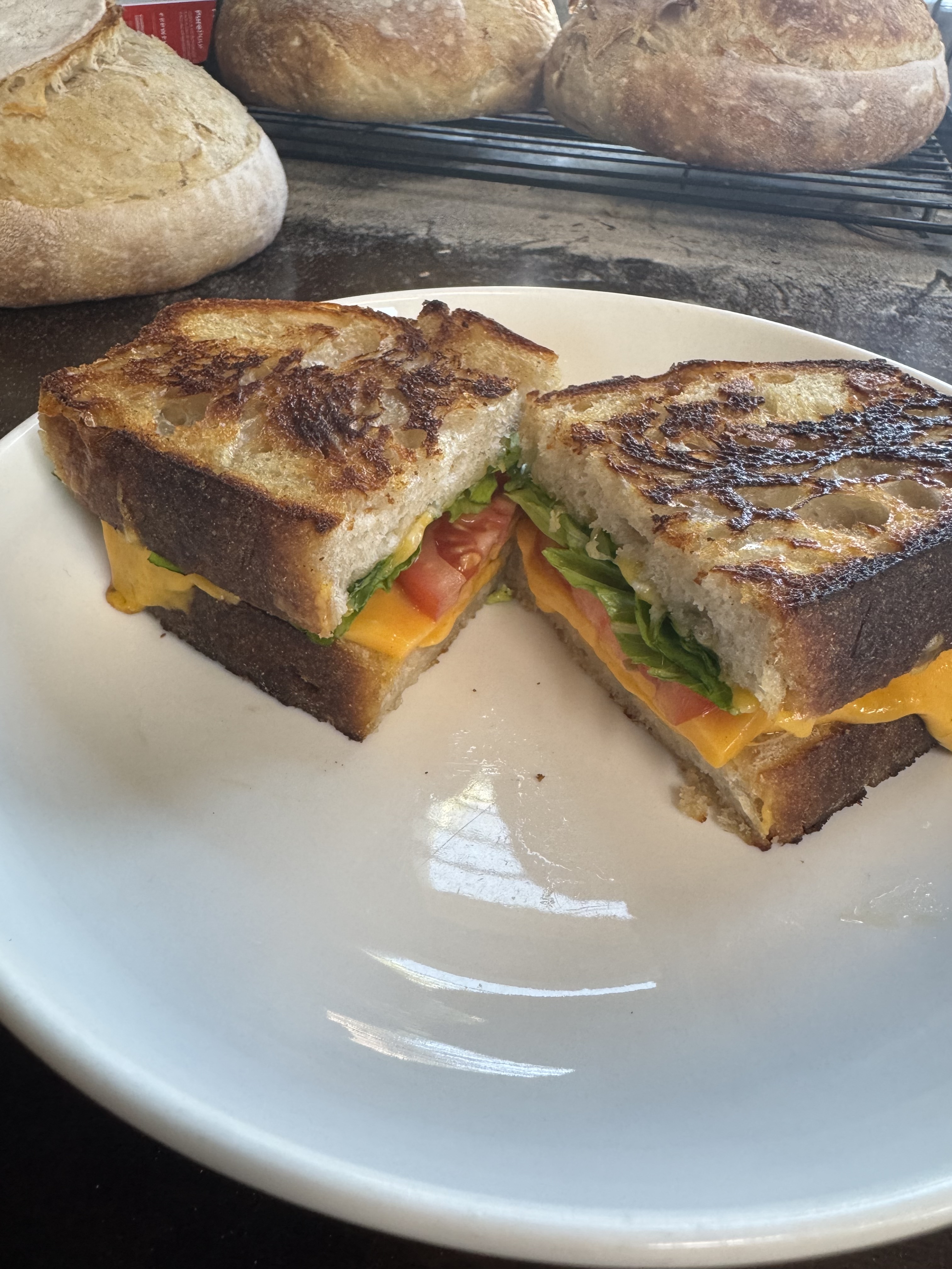 Sourdough Grilled Cheese